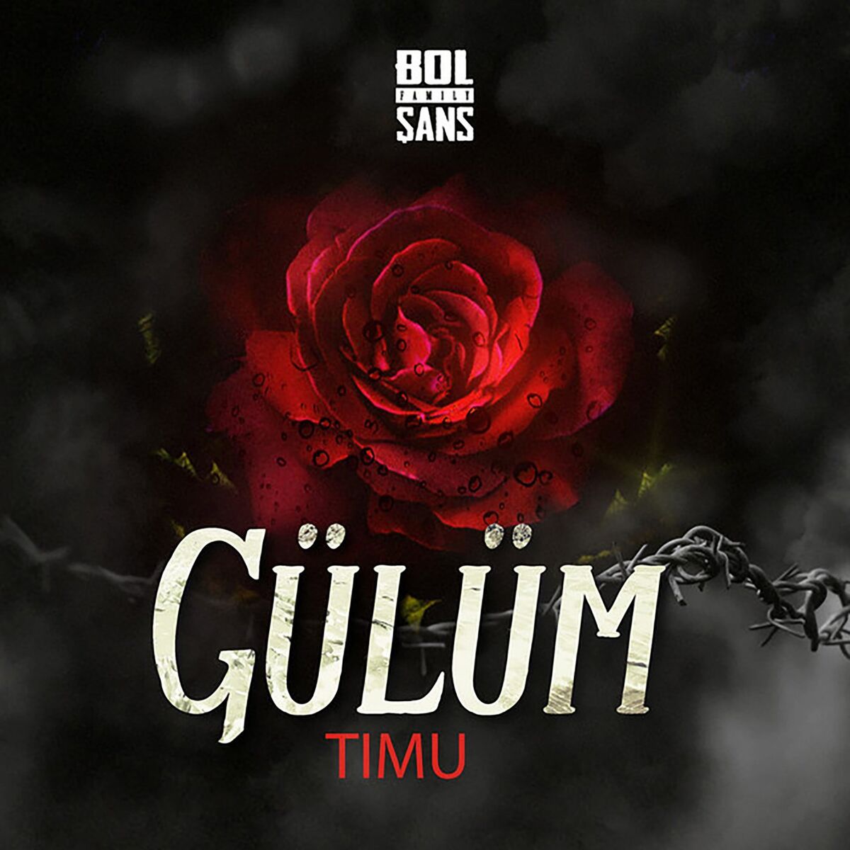 Album cover of Gülüm