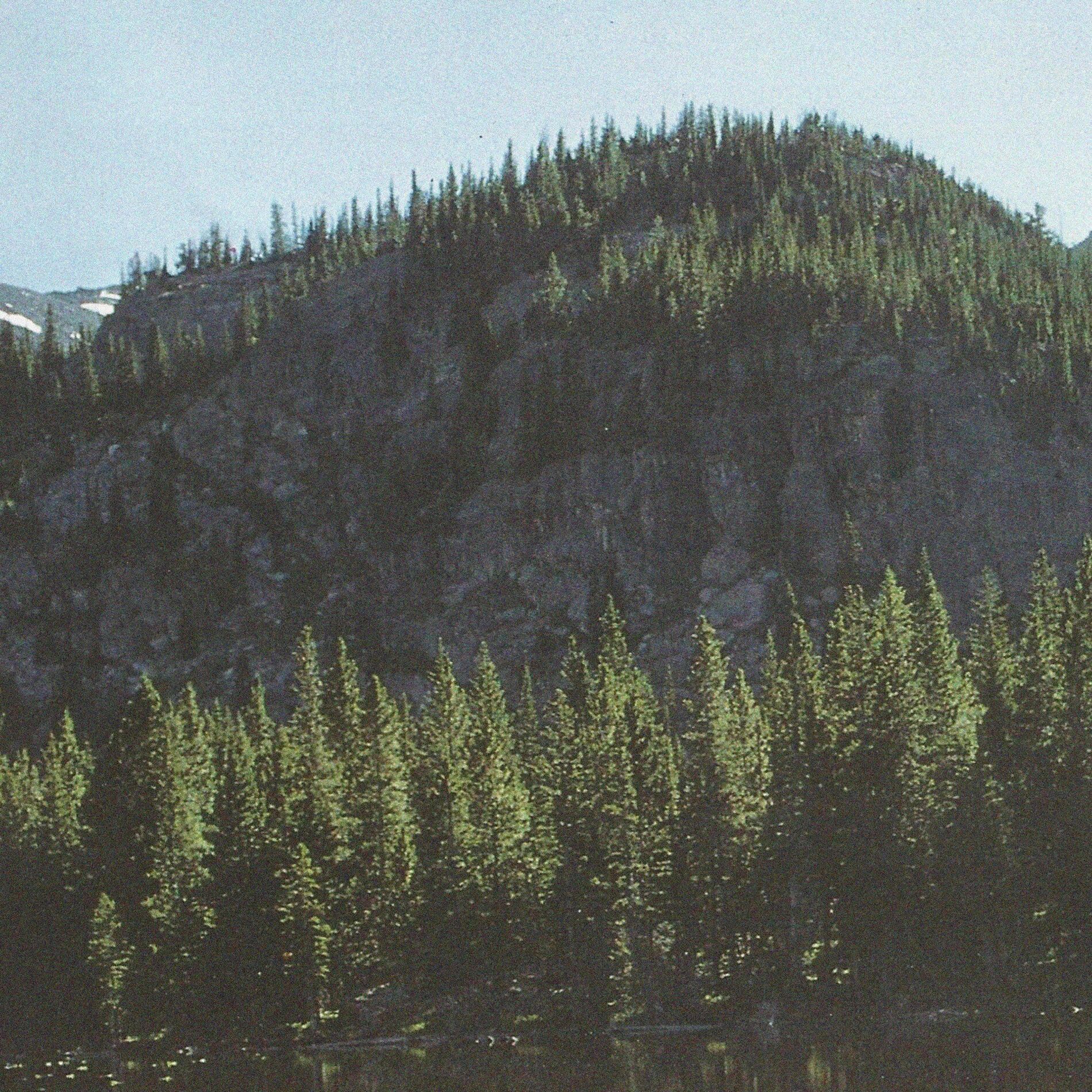 Album cover of Ramulus