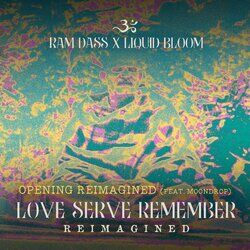 Cover of Opening Reimagined