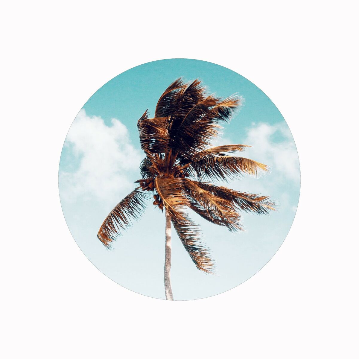 Album cover of Palm Beach