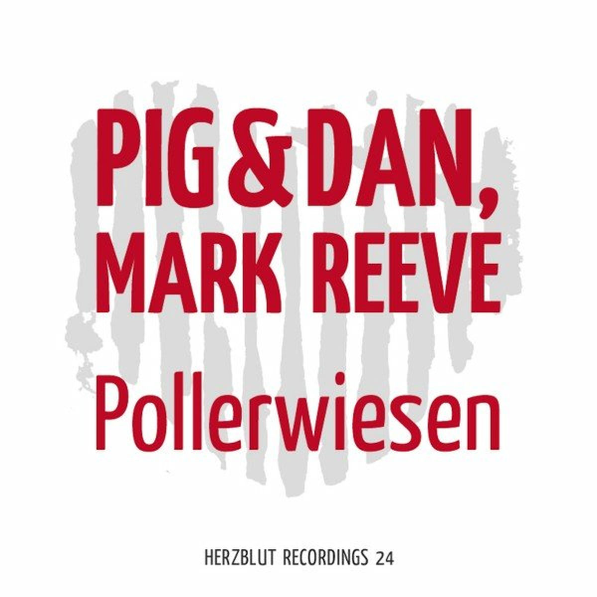 Album cover of Pollerwiesen
