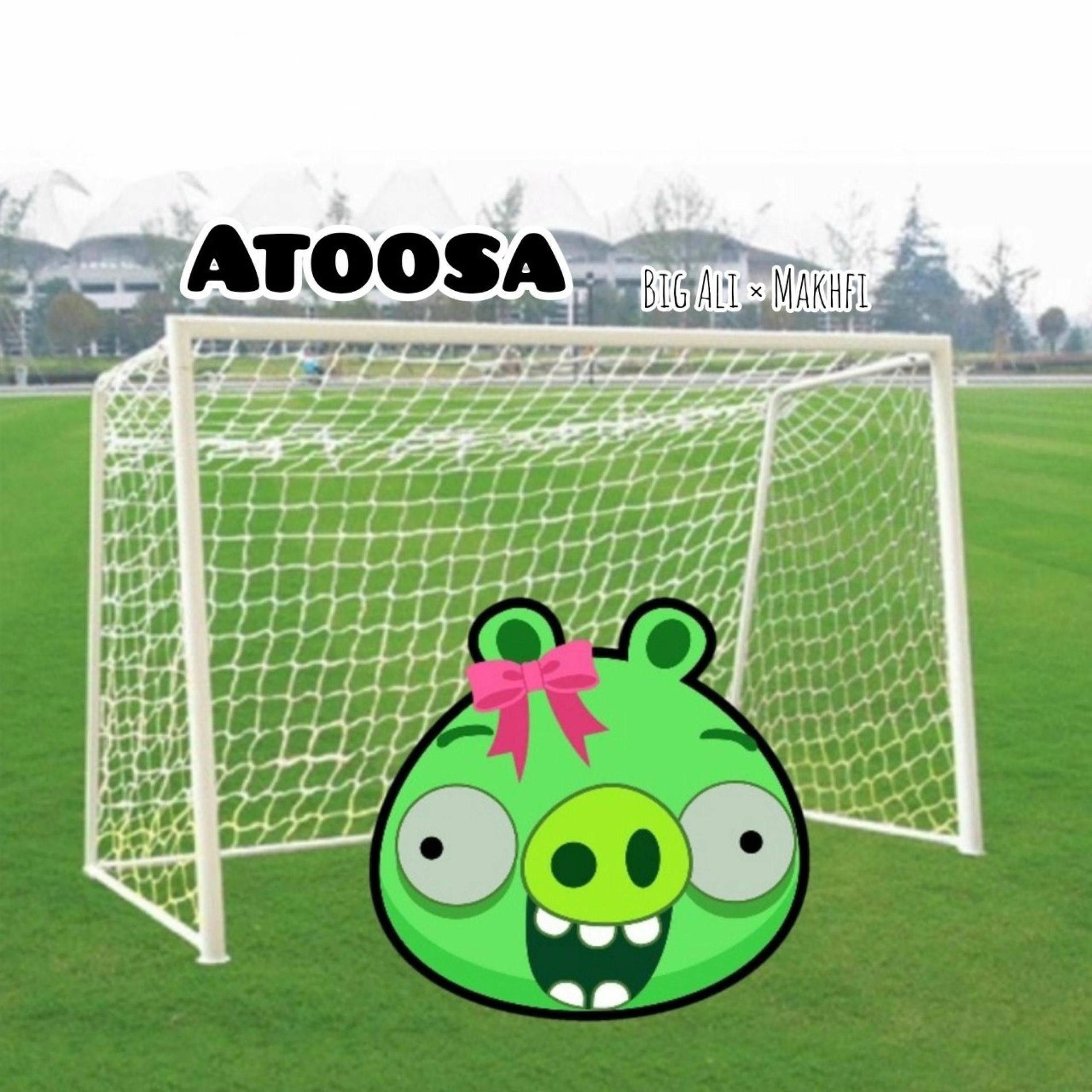 Album cover of Atoosa (feat. Makhfi & BiG ALi)