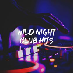 Cover of Wild Night Club Hits