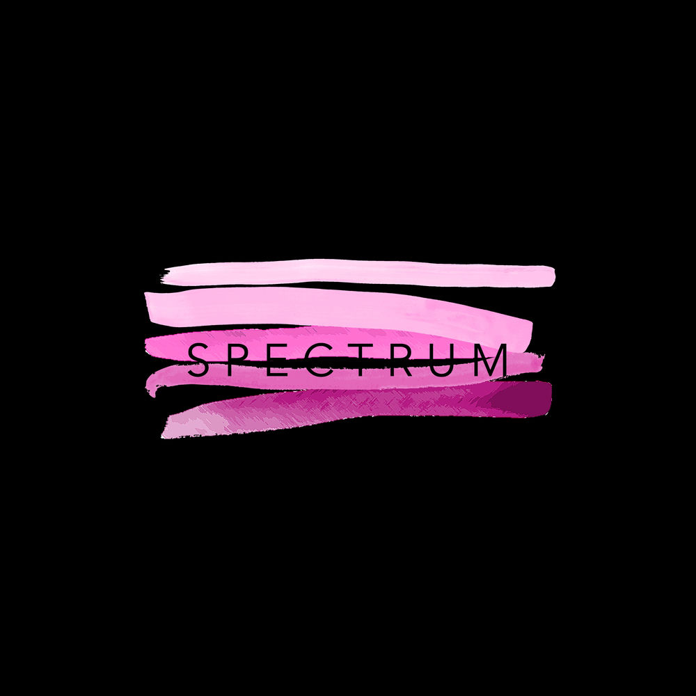 Album artwork for Take Me Home by Spectrum