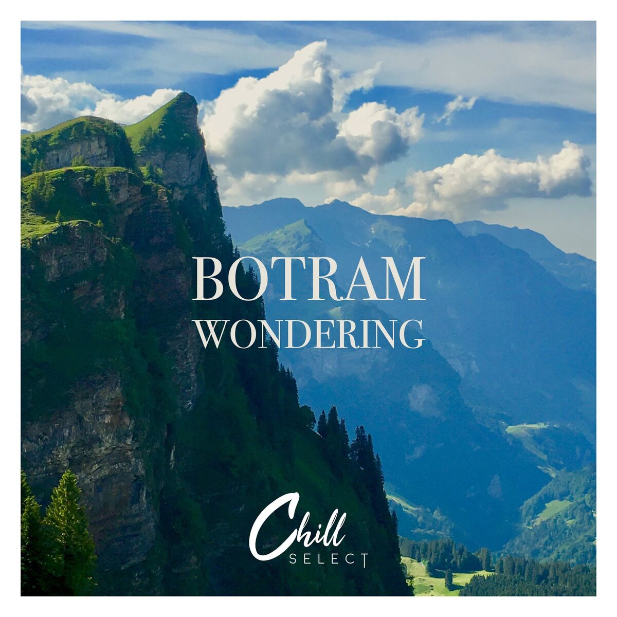 Album cover of Wondering