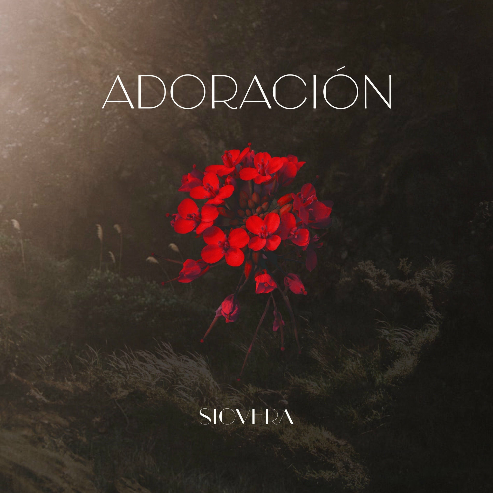 Album cover of Adoración