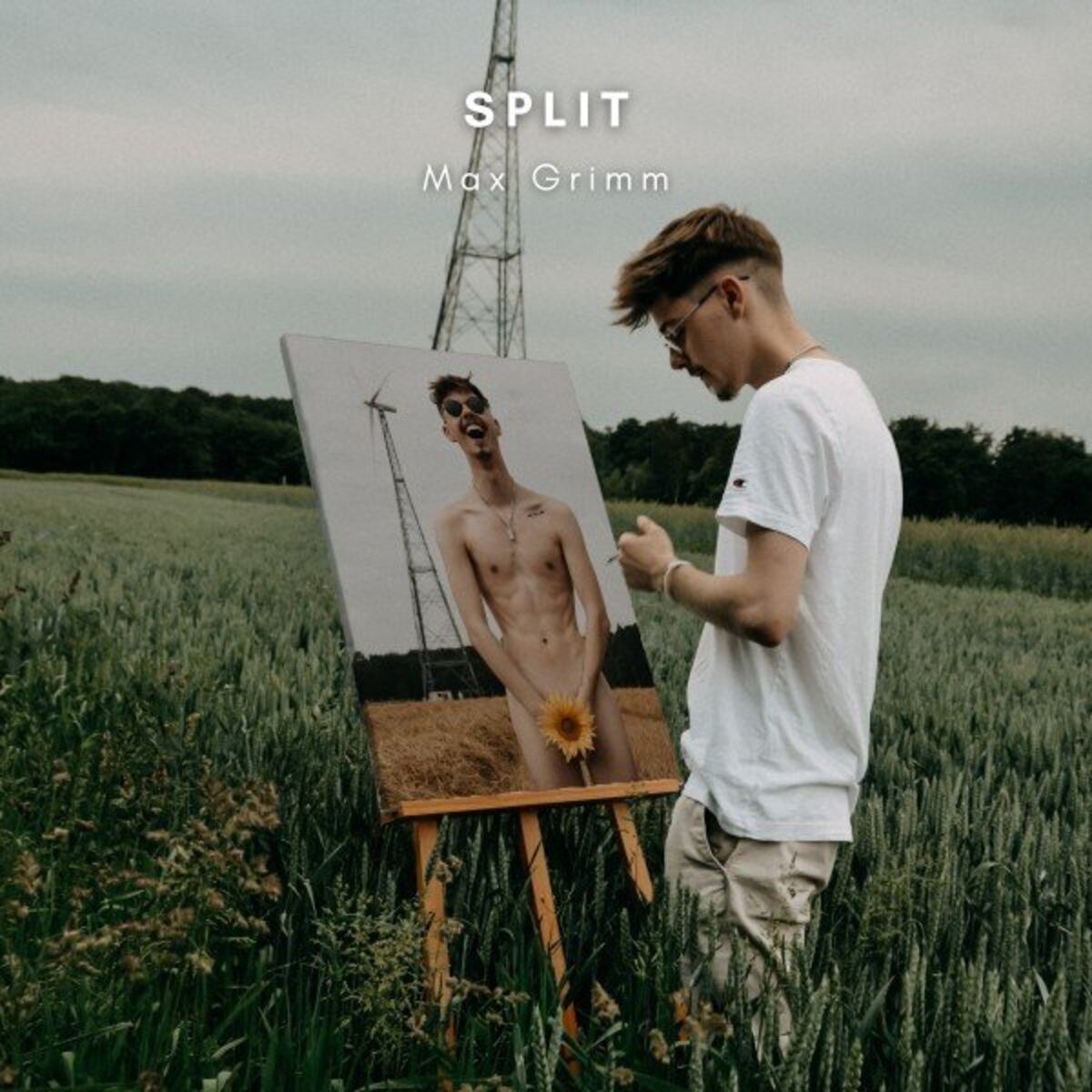 Album cover of Split