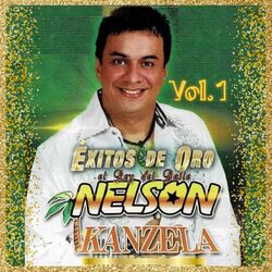 Cover of Éxitos de Oro, el Rey del Baile, Vol.1