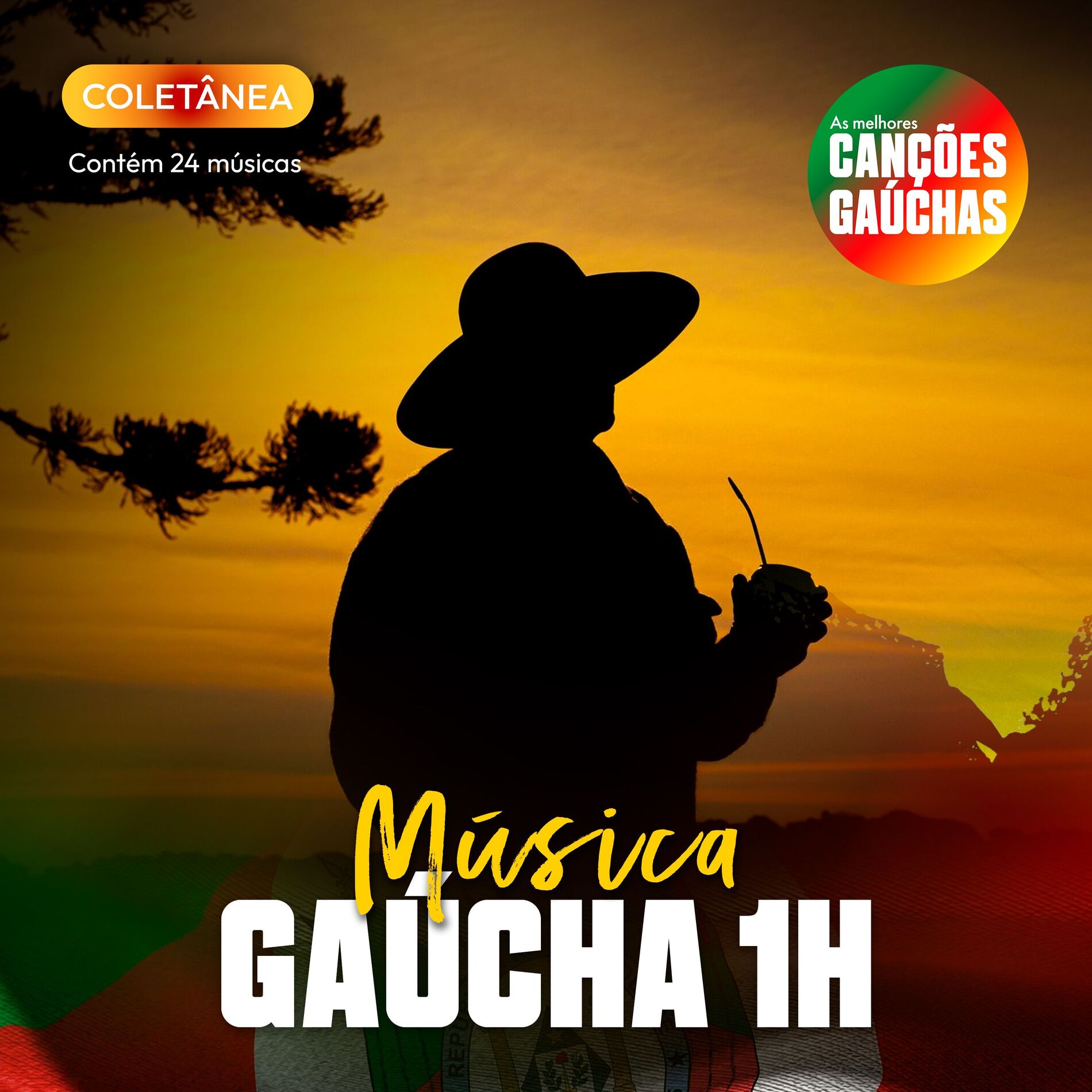 Album cover of MÚSICA GAÚCHA 1H