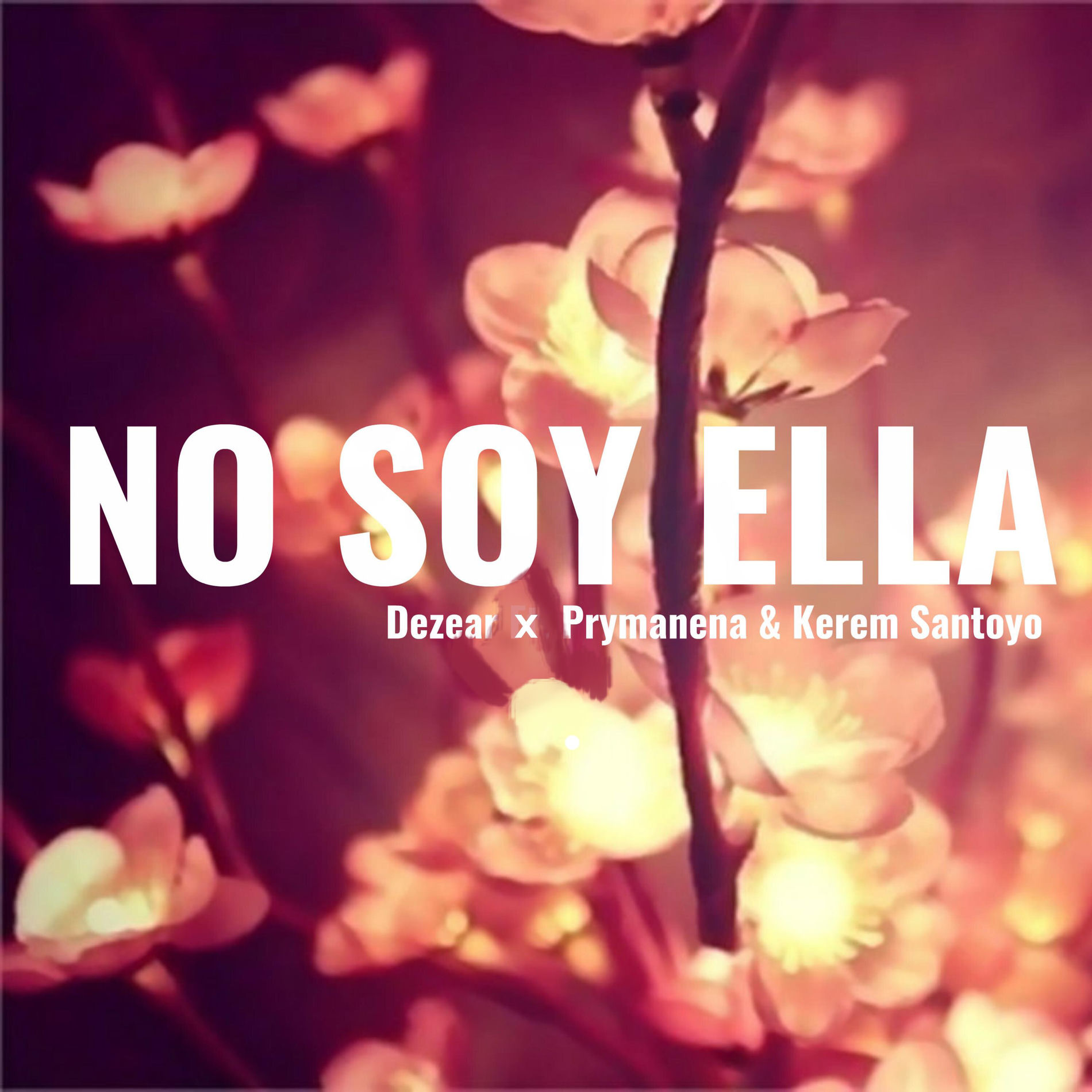 Album cover of No Soy Ella
