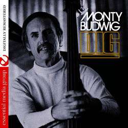 Cover of Dig (Digitally Remastered)
