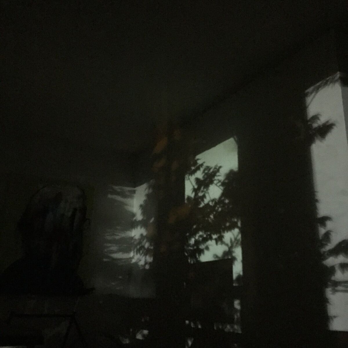 Album cover of Feeling Loved, Feeling Fucked