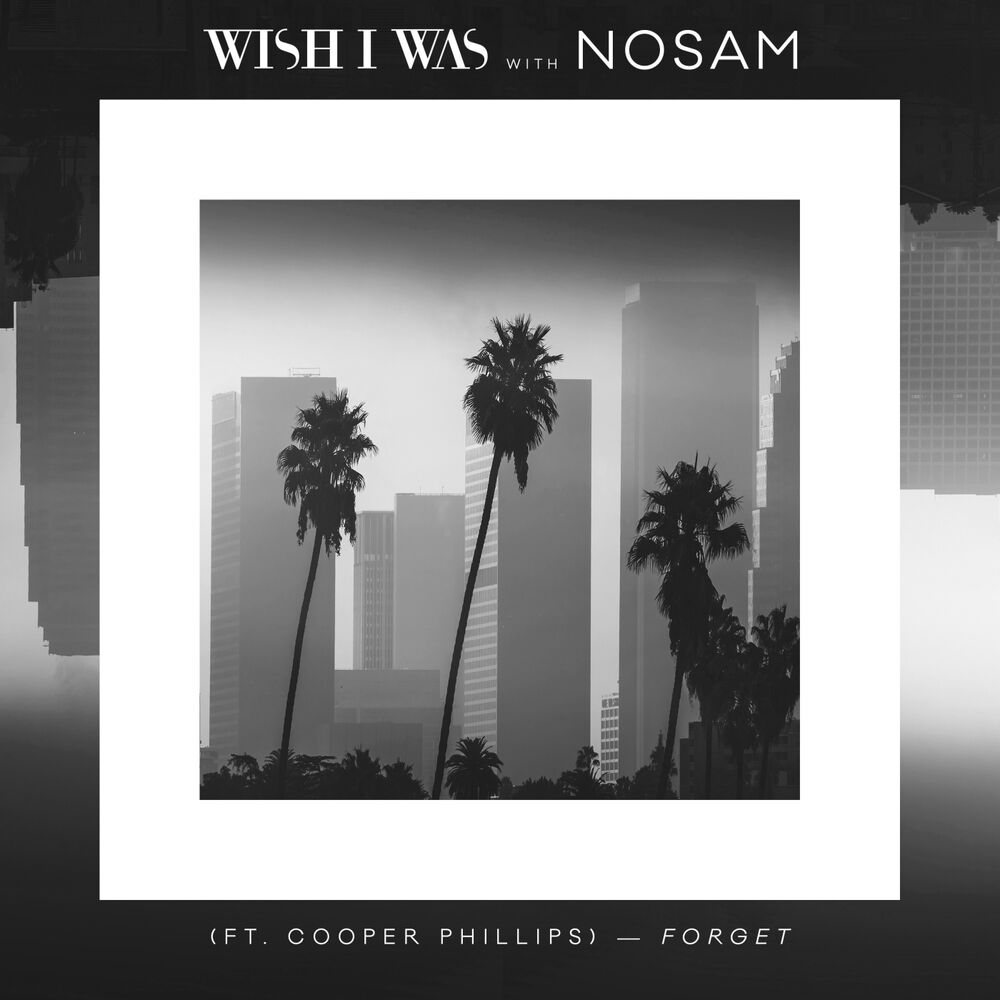 Picture of Forget (Ft. Cooper Phillip)