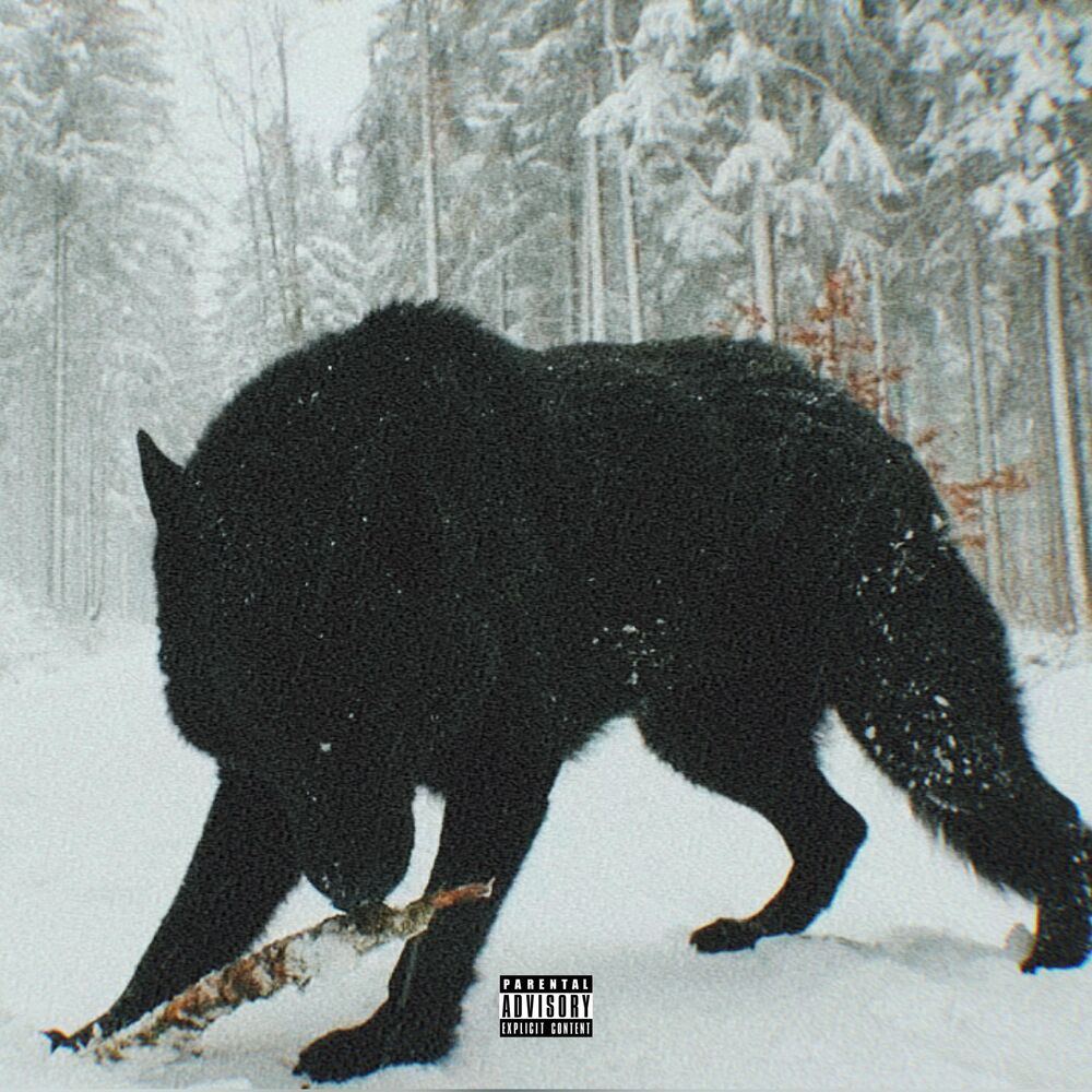 Picture of The Wolf Tapes, Vol. 1