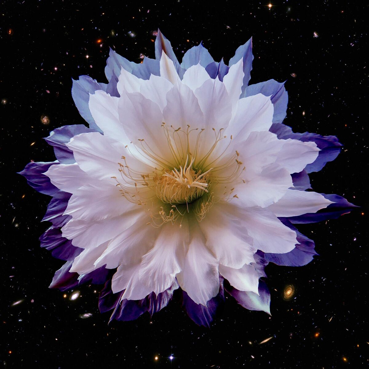 Album cover of La Cura del Tiempo