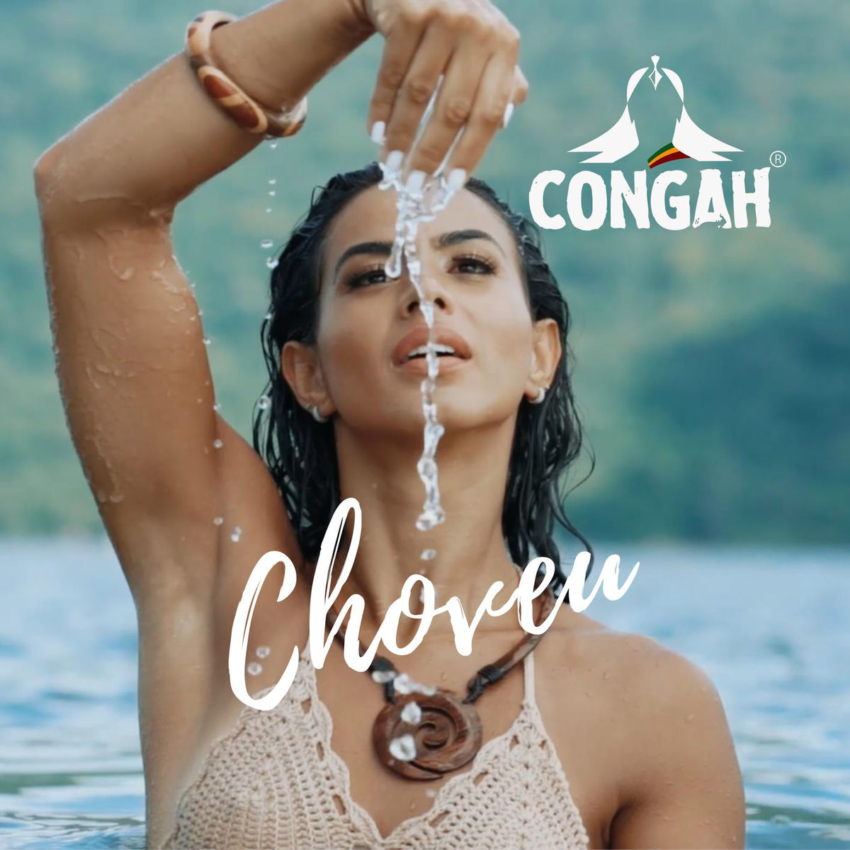 Album cover of Choveu