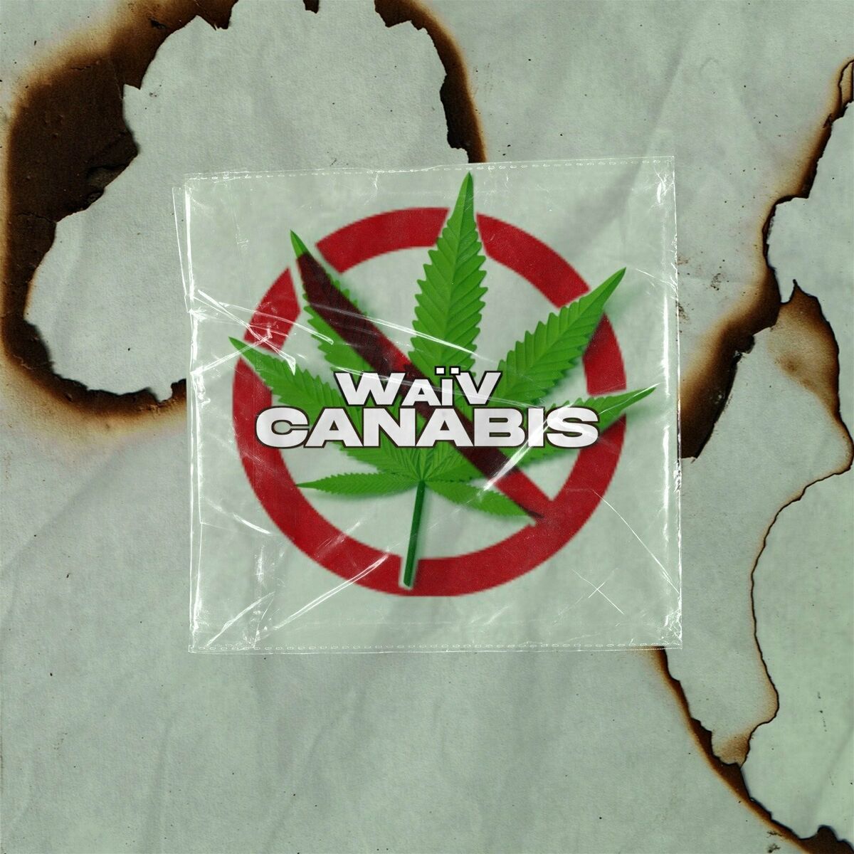 Album cover of Canabis