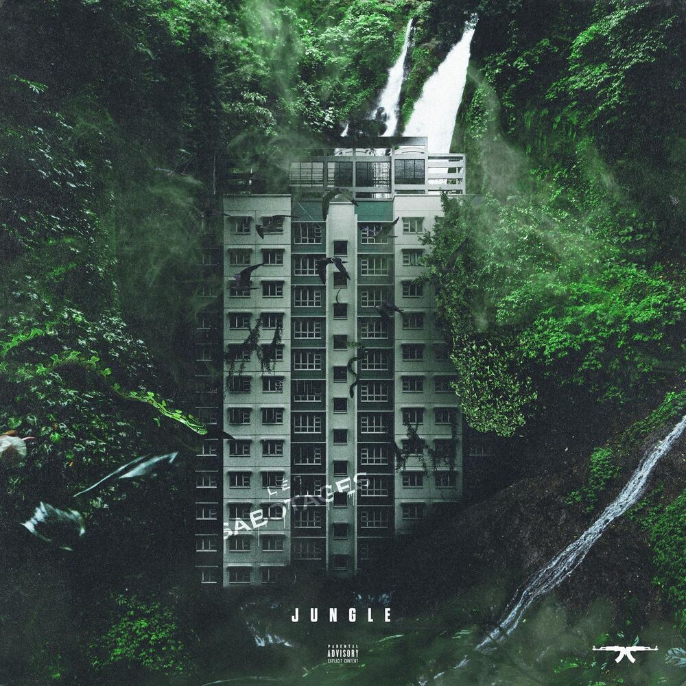Picture of JUNGLE