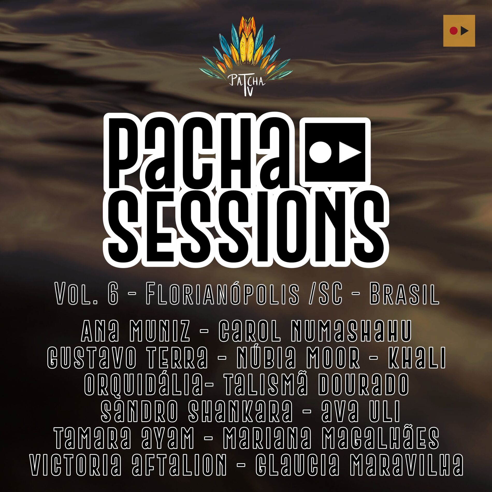 Album cover of Pacha Sessions, Vol. 6