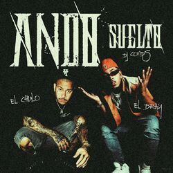 Cover of Ando Suelto