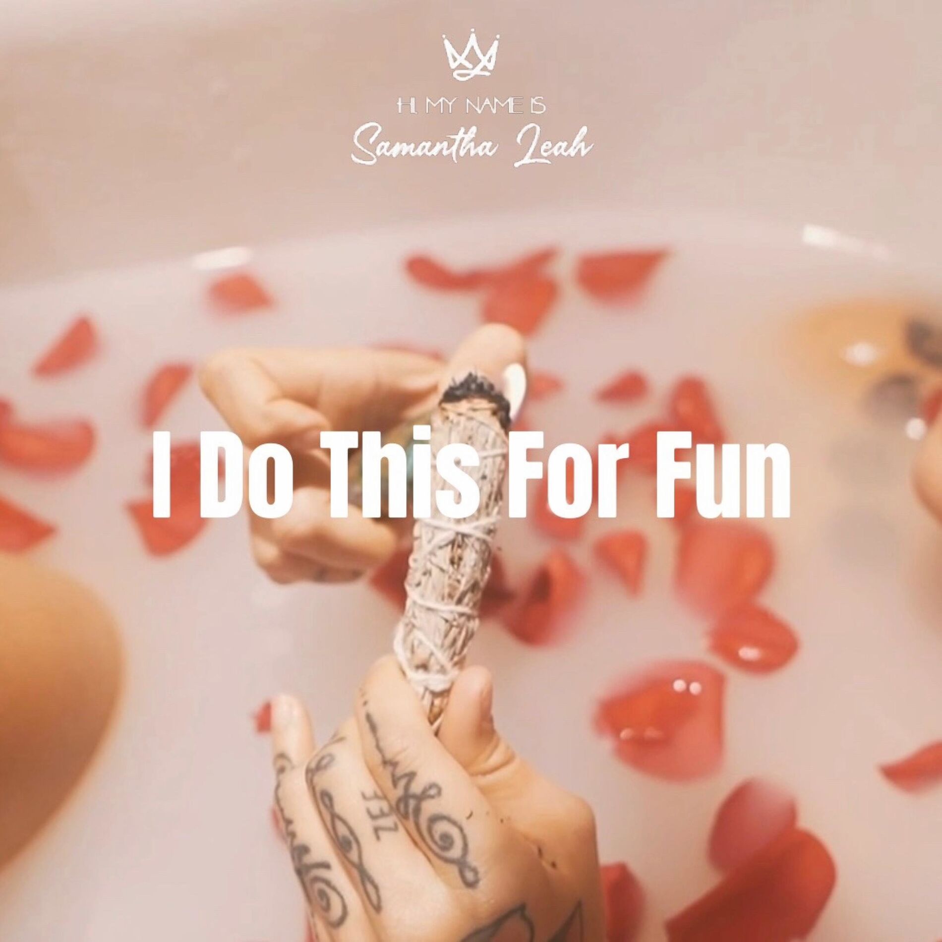 Album cover of I Do This For Fun