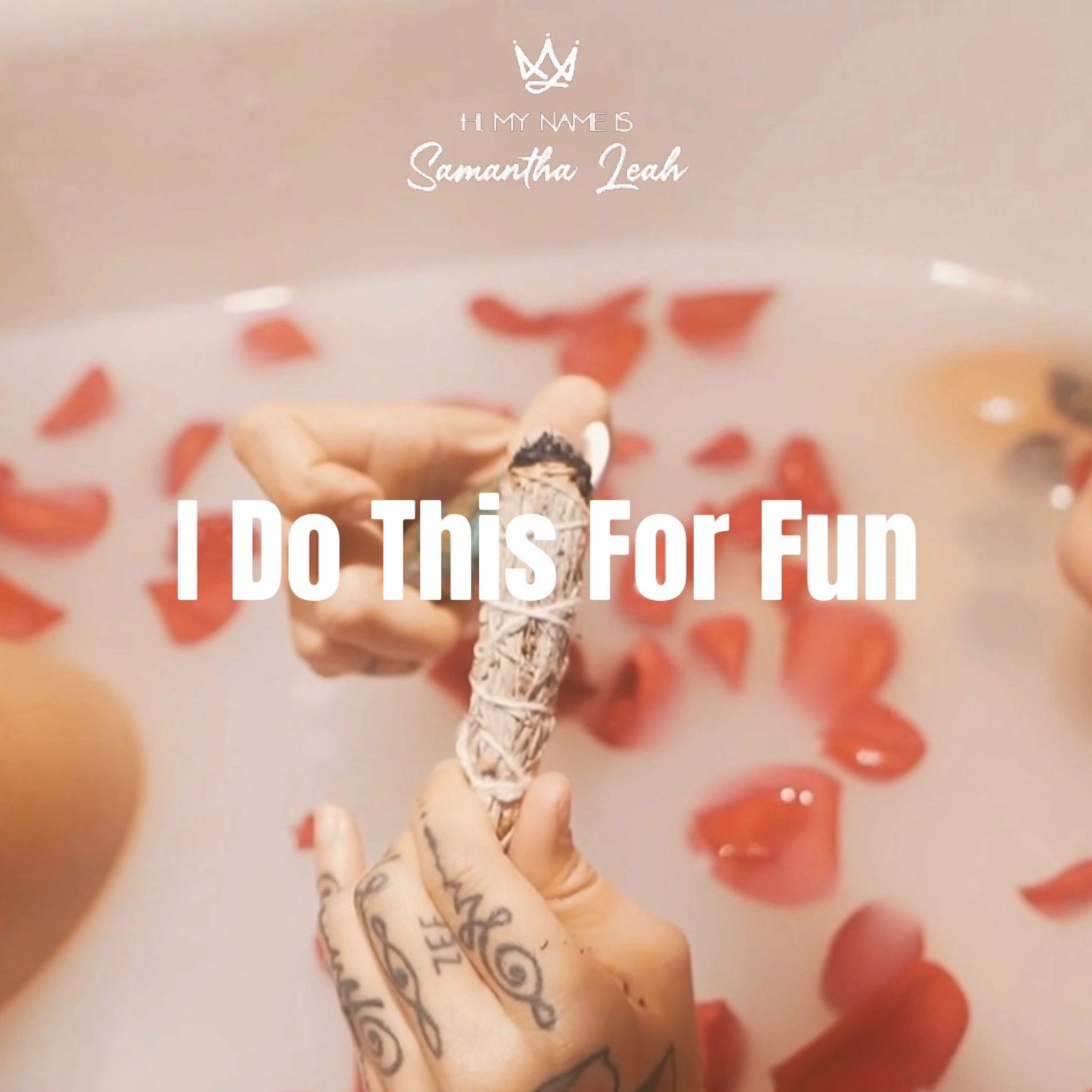 Album cover of I Do This For Fun