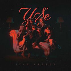 Cover of Y Sé