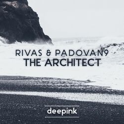 Cover of The Architect