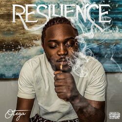 Cover of Resilience