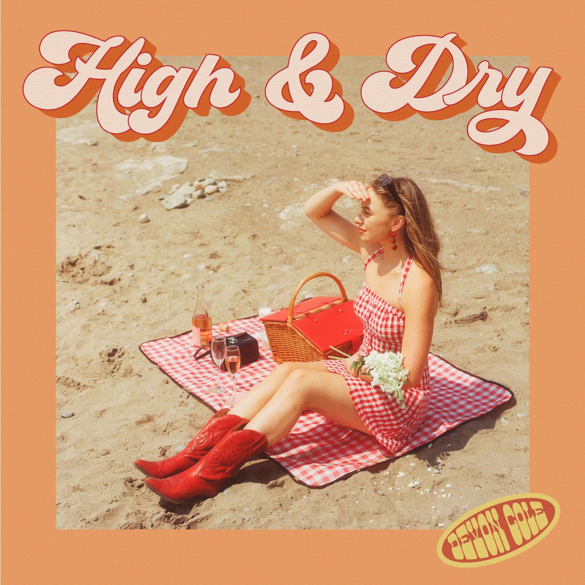 Album cover of High & Dry