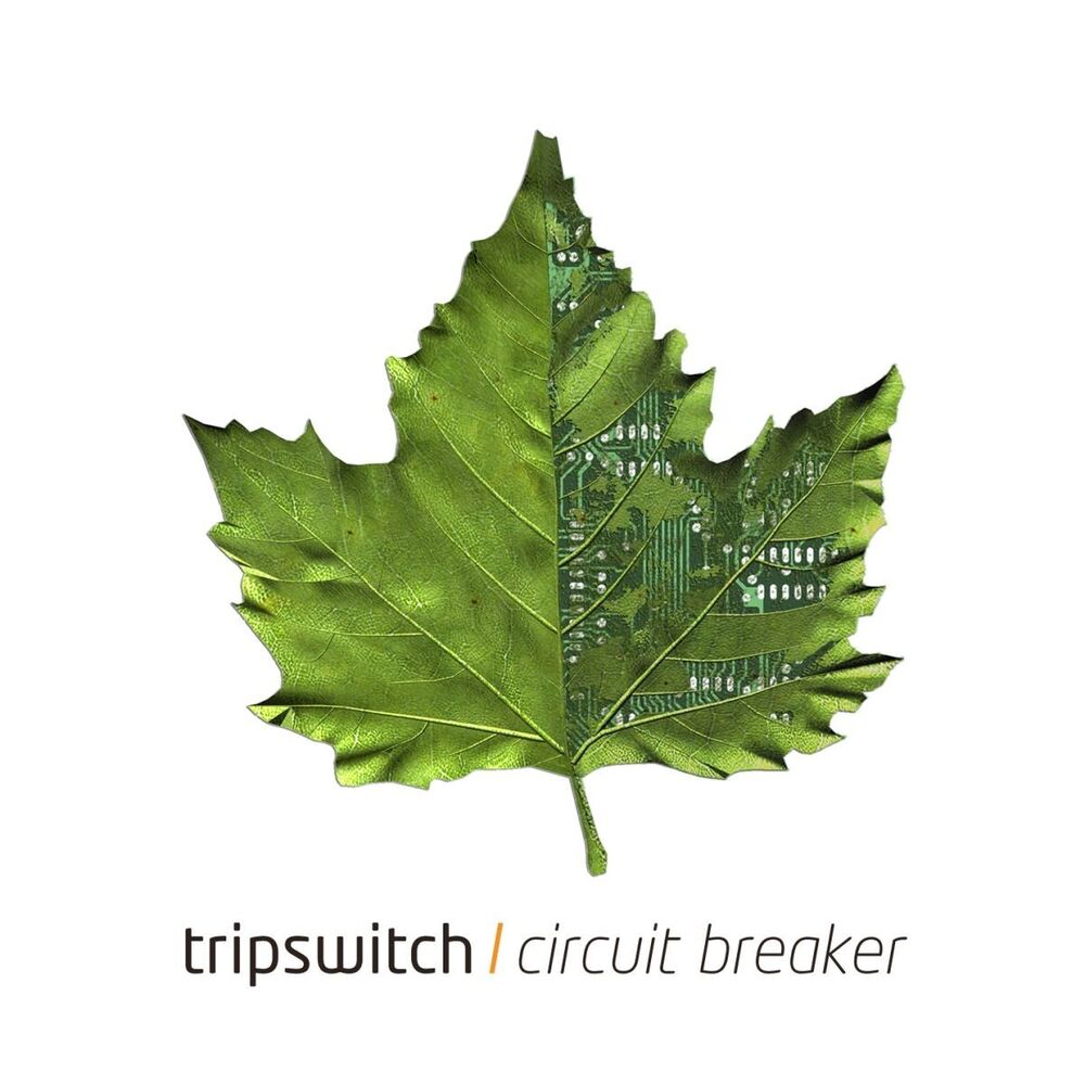 Picture of Circuit Breaker