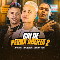 Cover of Cai de Perna Aberta 2