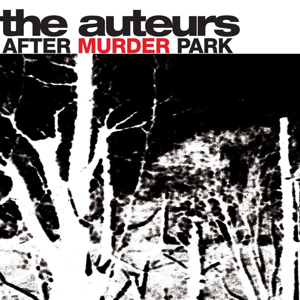 Picture of After Murder Park
