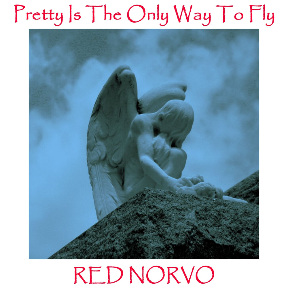 Picture of Pretty Is The Only Way To Fly