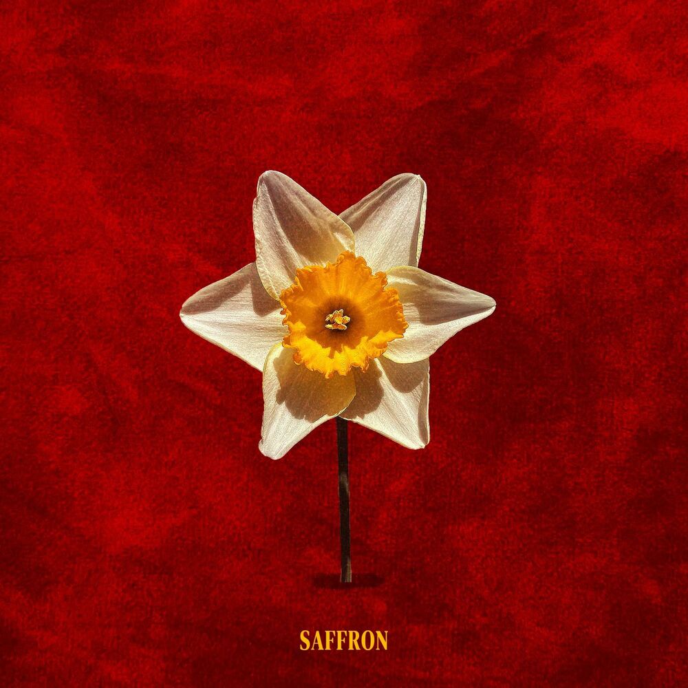 Picture of SAFFRON