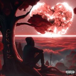 Cover of Confuz