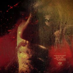 Cover of Burn Me