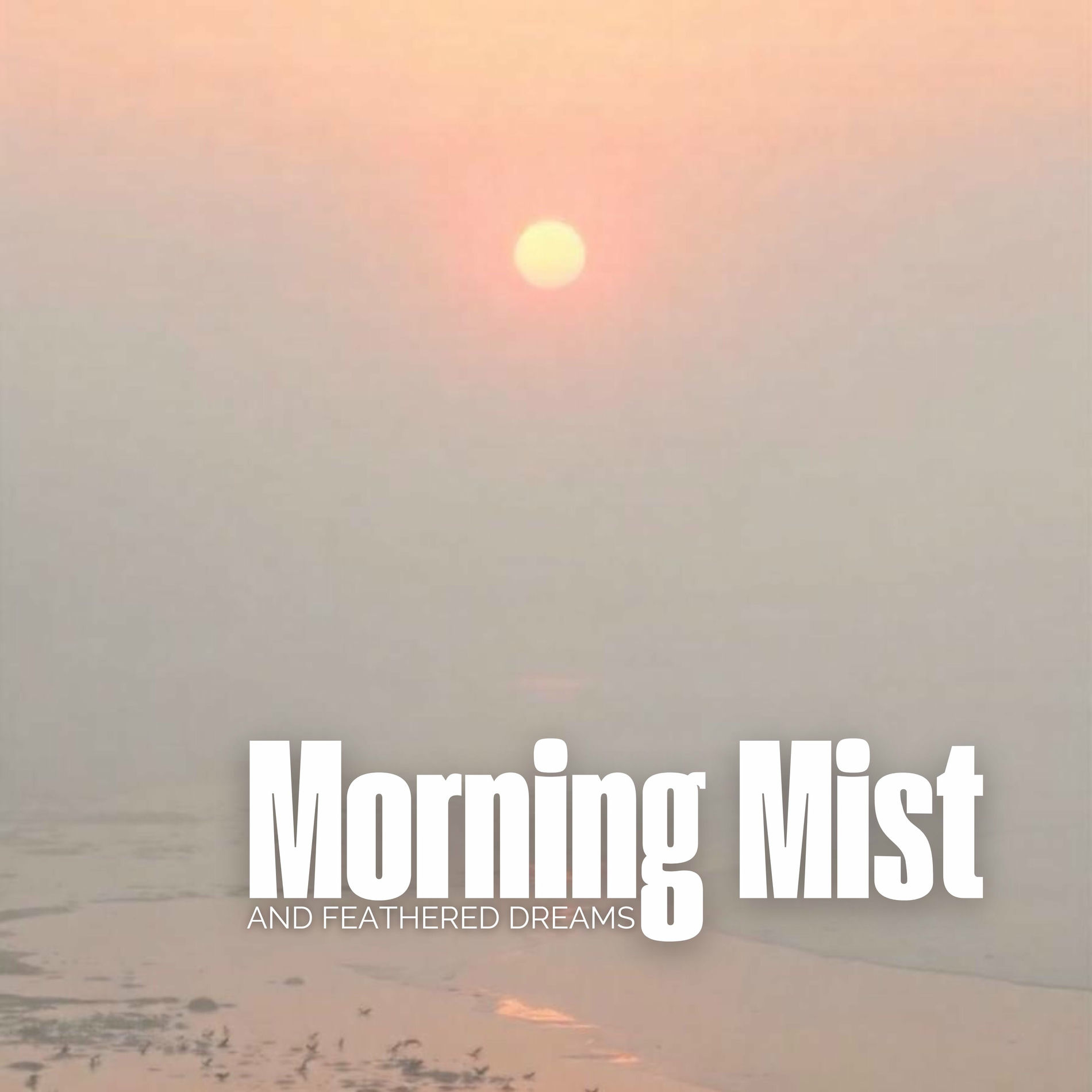 Album cover of Morning Mist and Feathered Dreams: Dawn Glow, Misty Shores, Peaceful Wanderers, Birdsong Echoes, Morning Peace