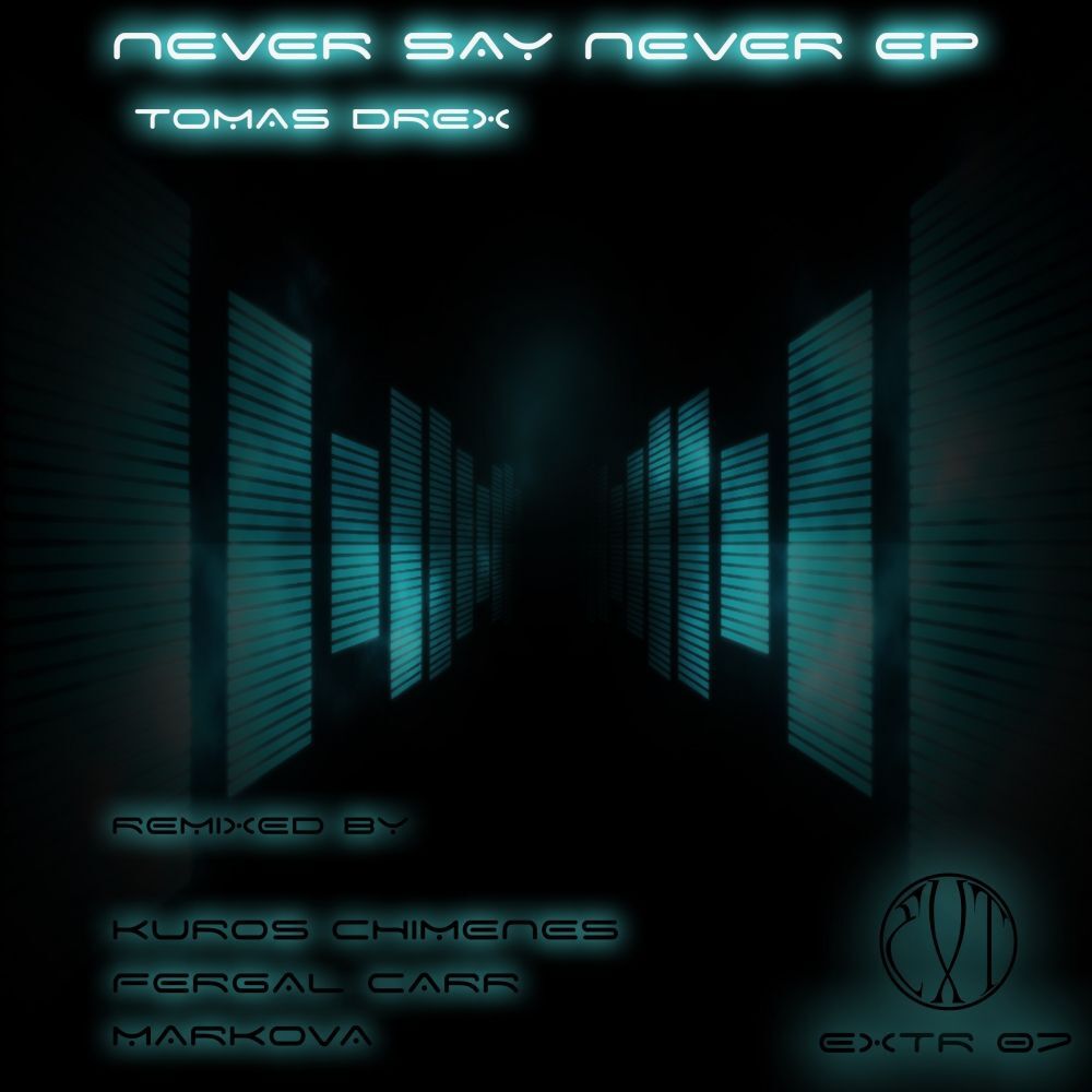 Picture of Never Say Never EP