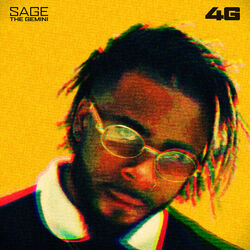 Cover of 4G
