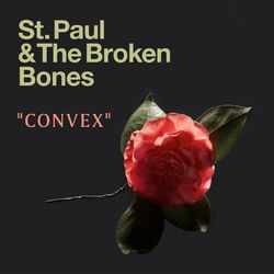 Cover of Convex