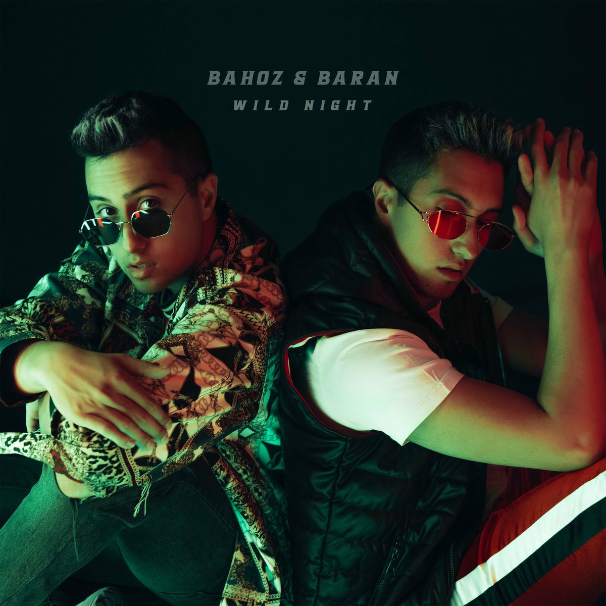 Album cover of Wild Night