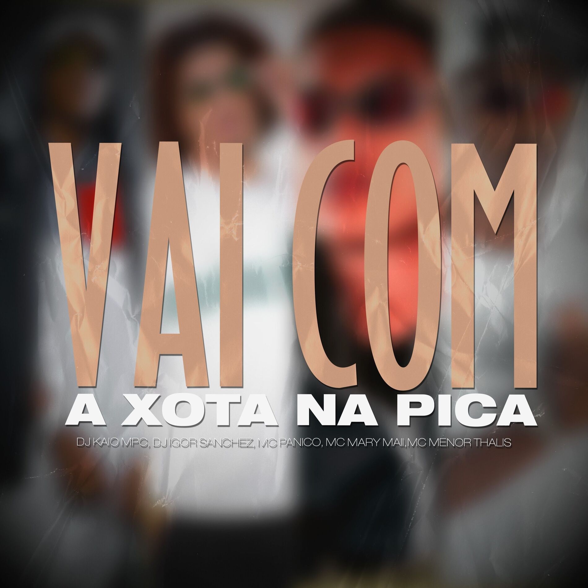 Album cover of Vai com a Xota na Pica