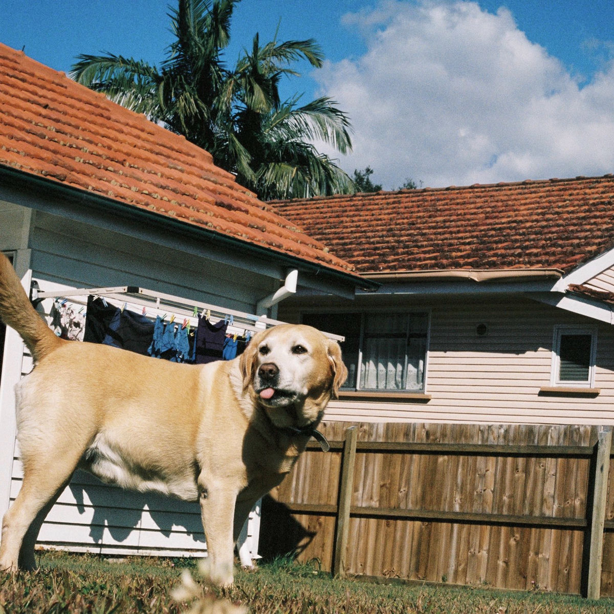 Album cover of Charlie