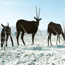 Cover of Four Seasons Part 01