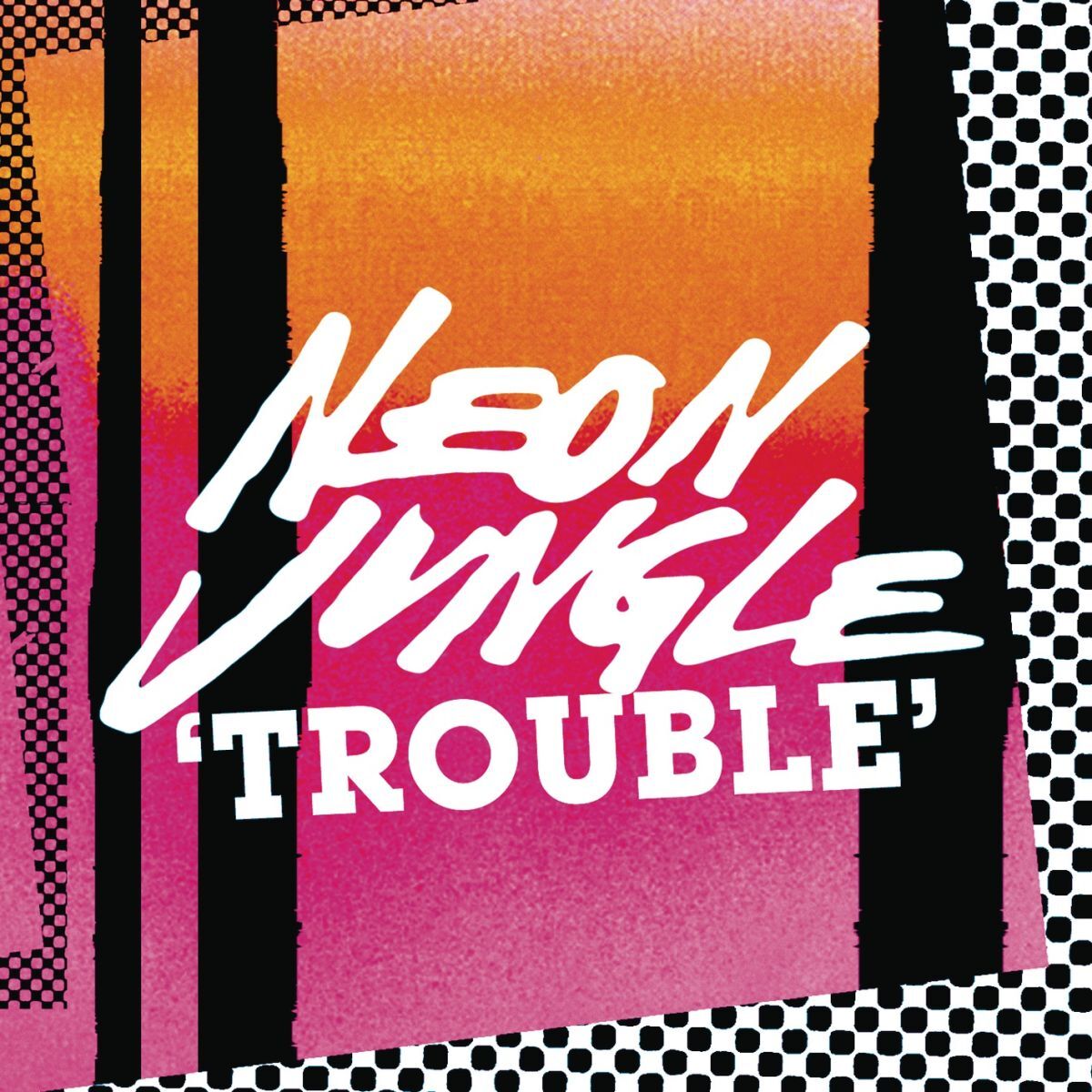 Album cover of Trouble Remixes