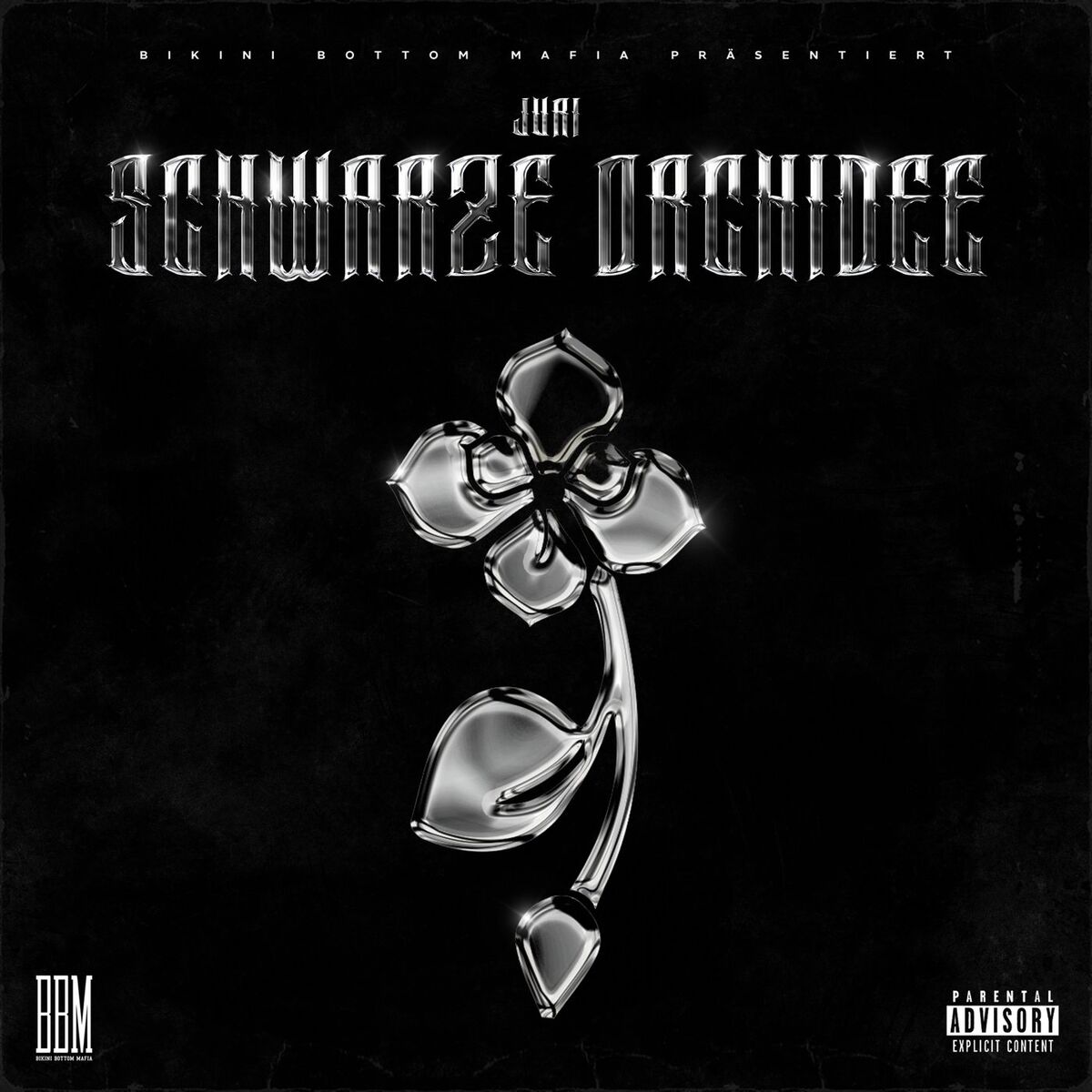 Album cover of Schwarze Orchidee