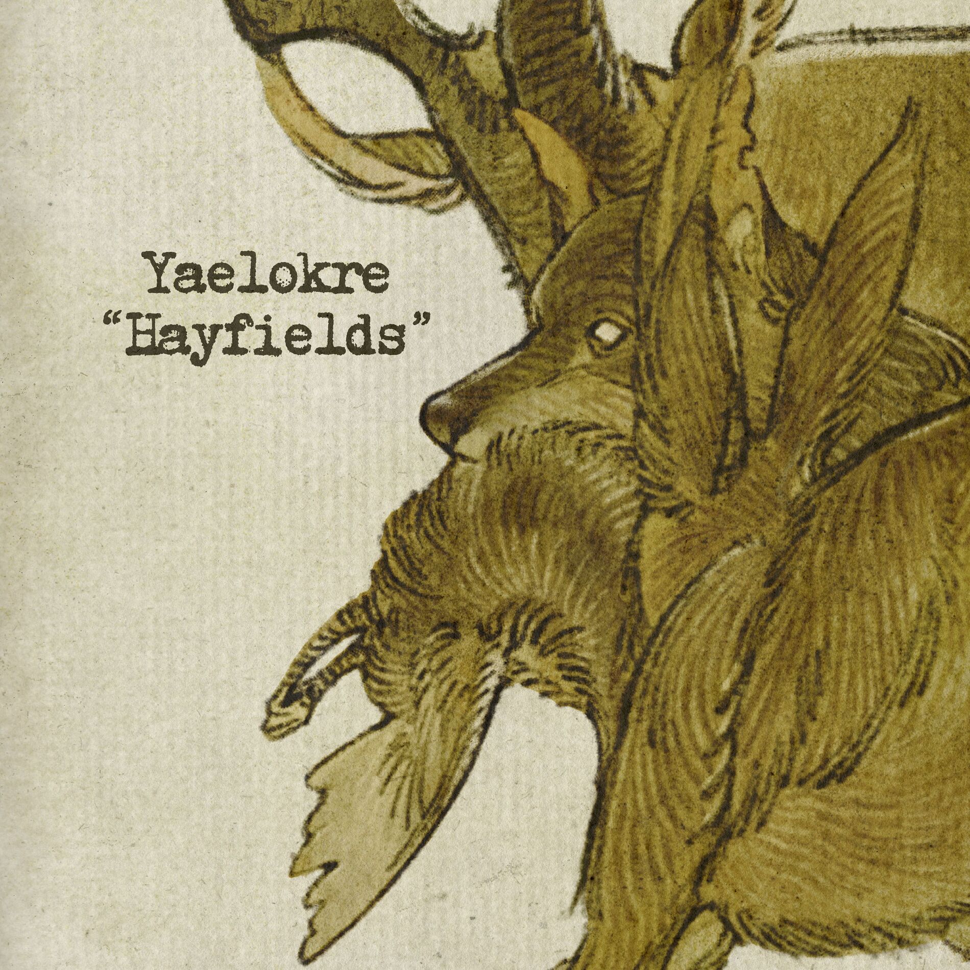 Album cover of Hartebeest