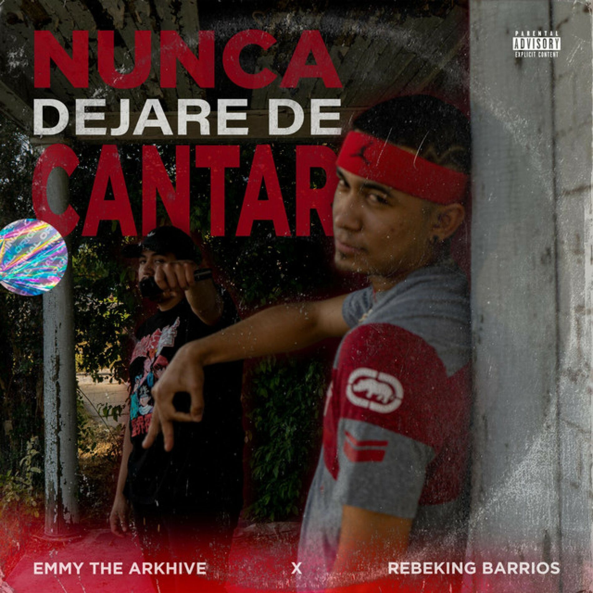 Album cover of Nunca Dejare De Cantar