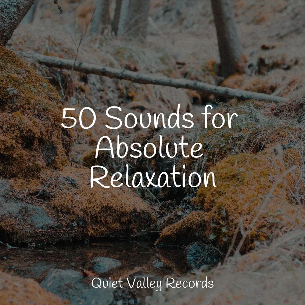 Picture of 50 Sounds for Absolute Relaxation